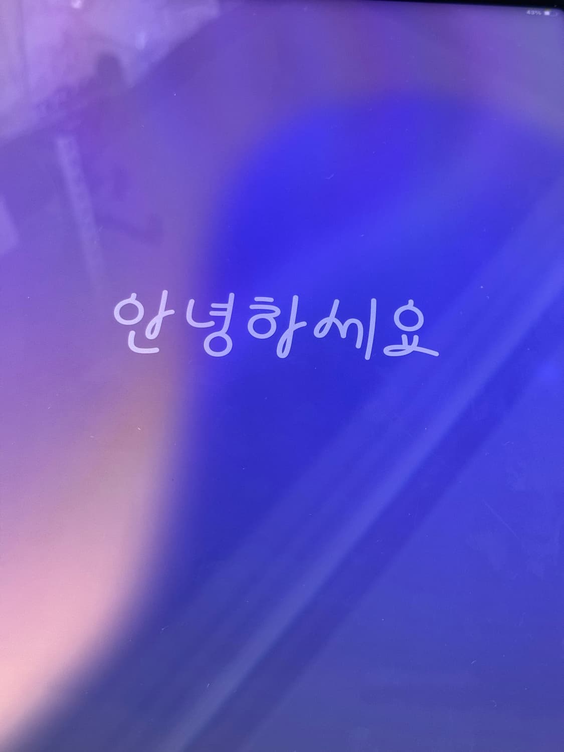 아이패드 프로 5세대 12.9형 wifi 256GB 스페이스 그레이 상품이미지4