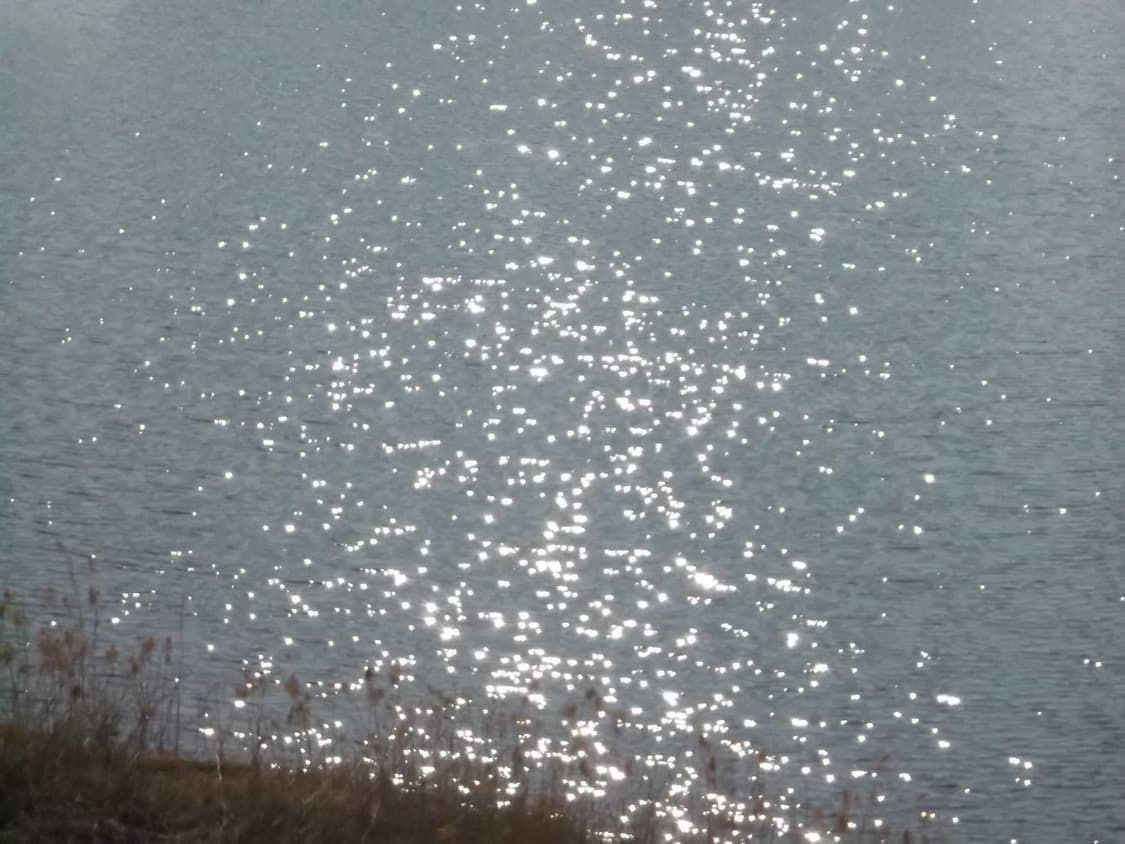 후지필름 파인픽스 AX550(작례있음) 상품이미지10