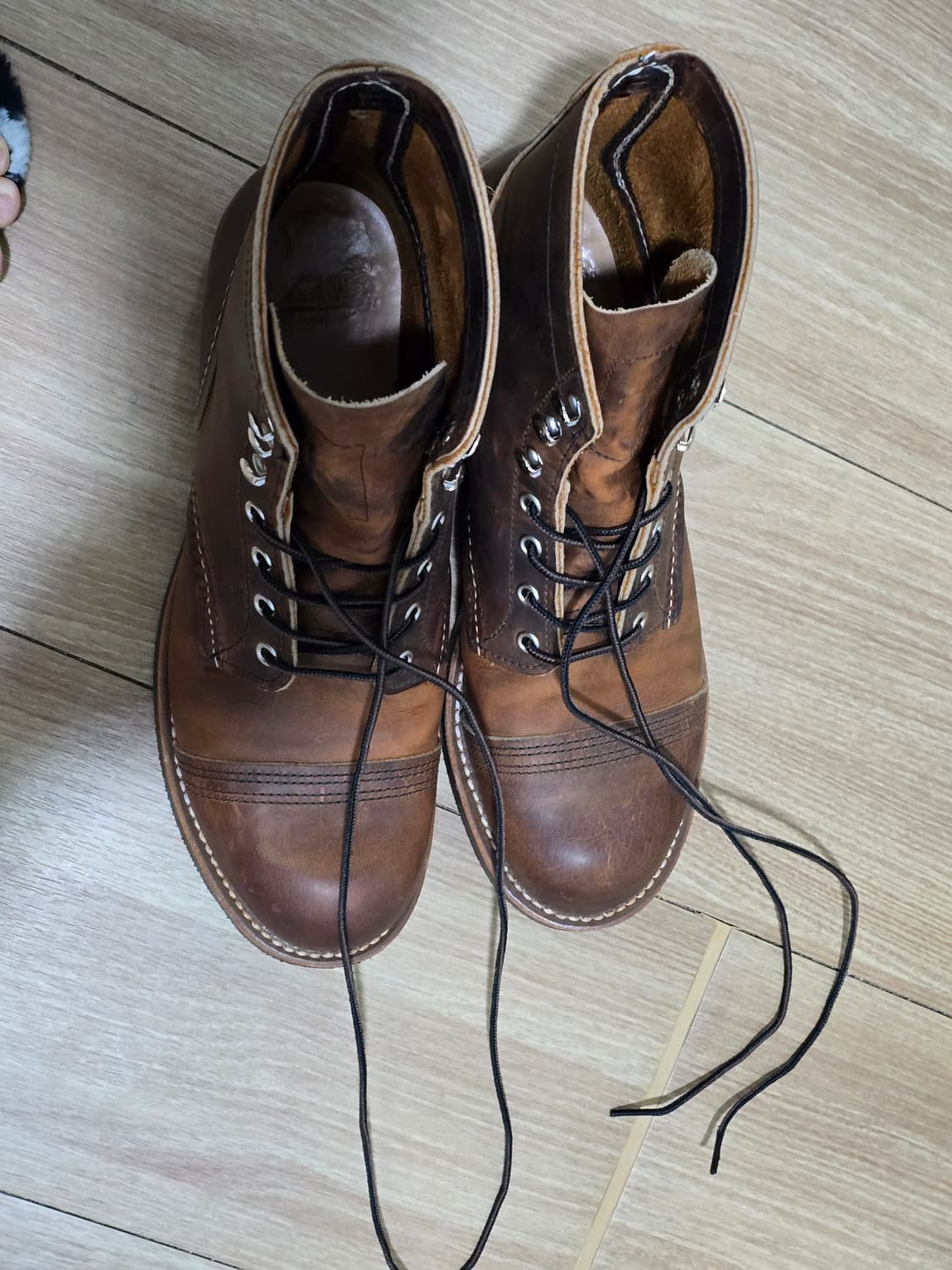 레드윙8085 상품이미지2