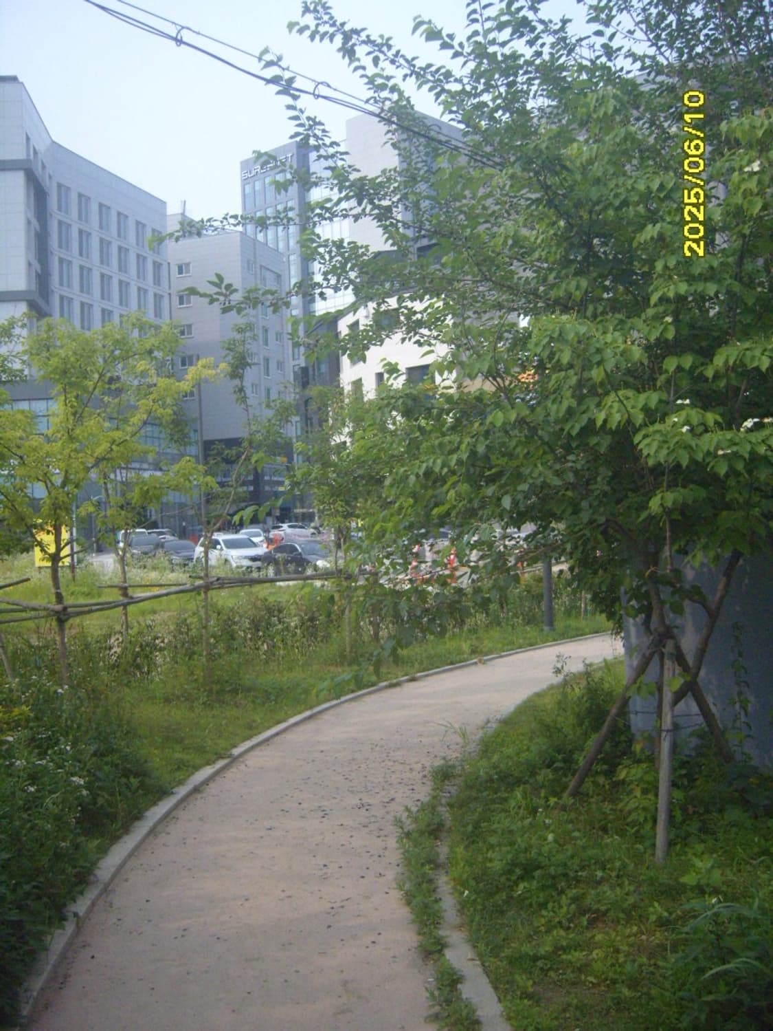 삼성 케녹스 S1000 디카 (빈티지 카메라) 상품이미지6