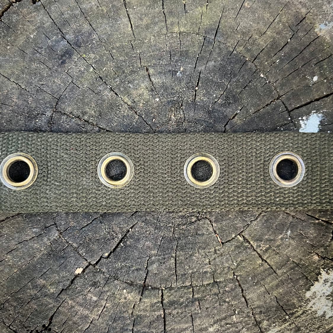 더블핀 롤러 버클 웹 벨트 상품이미지3