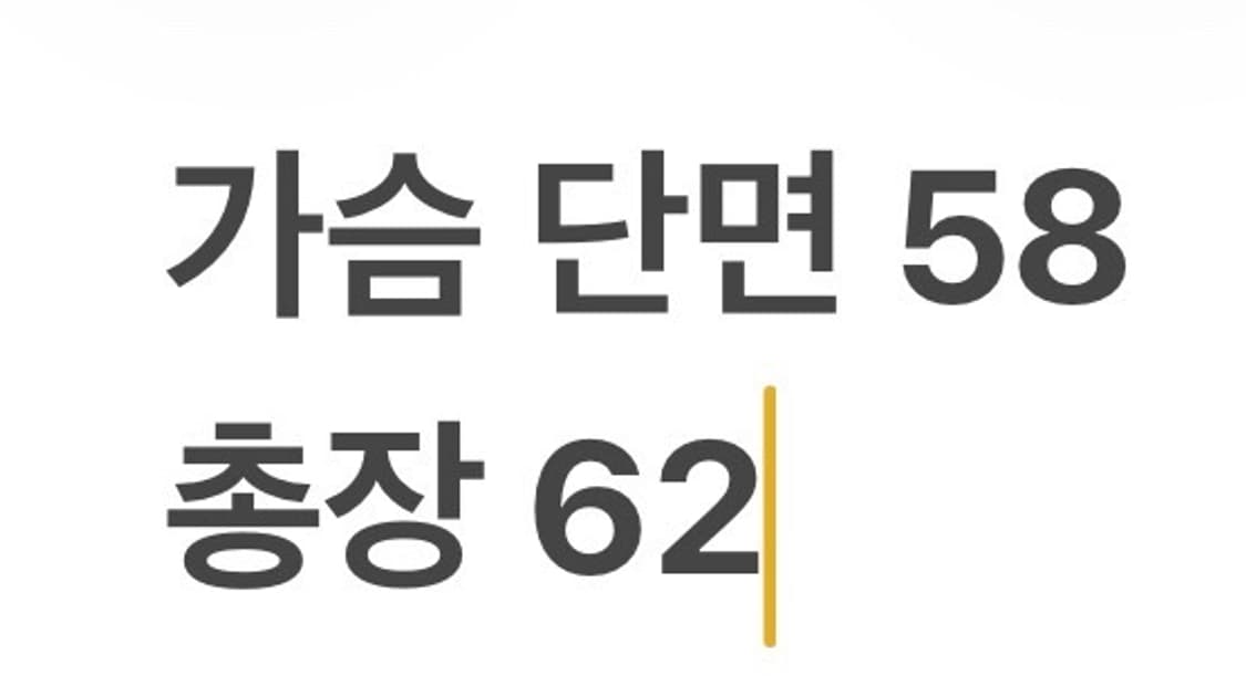 [정품/105] 스노우피크 하프집업 맨투맨 그레이 b18 상품이미지8