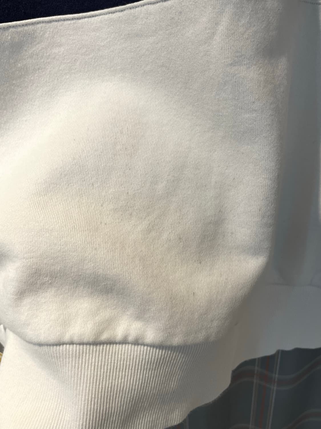 LEE 올드스쿨 맨투맨  상품이미지3