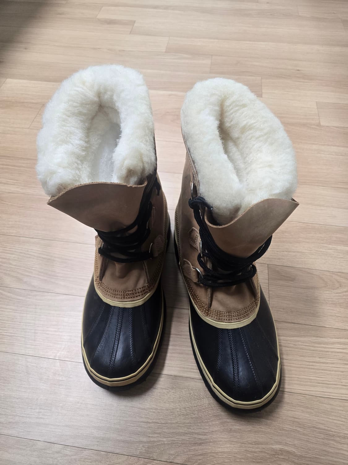 쏘렐   상품이미지1