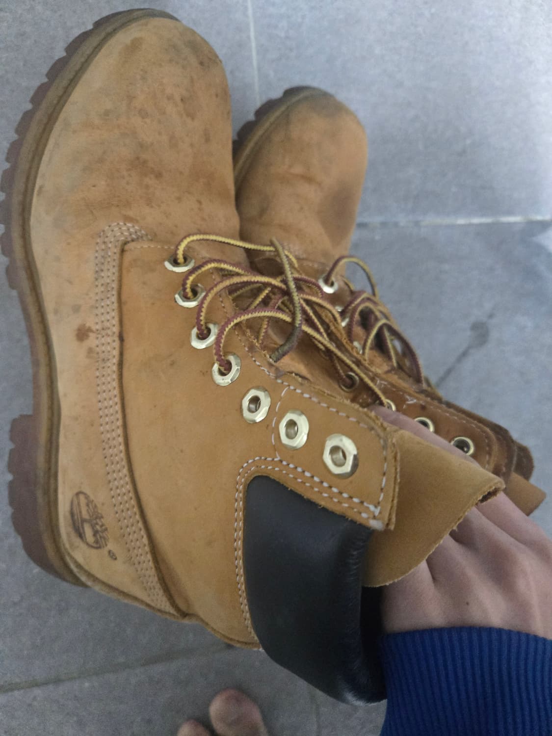 팀버랜드 프리미엄 6인치 255 상품이미지2