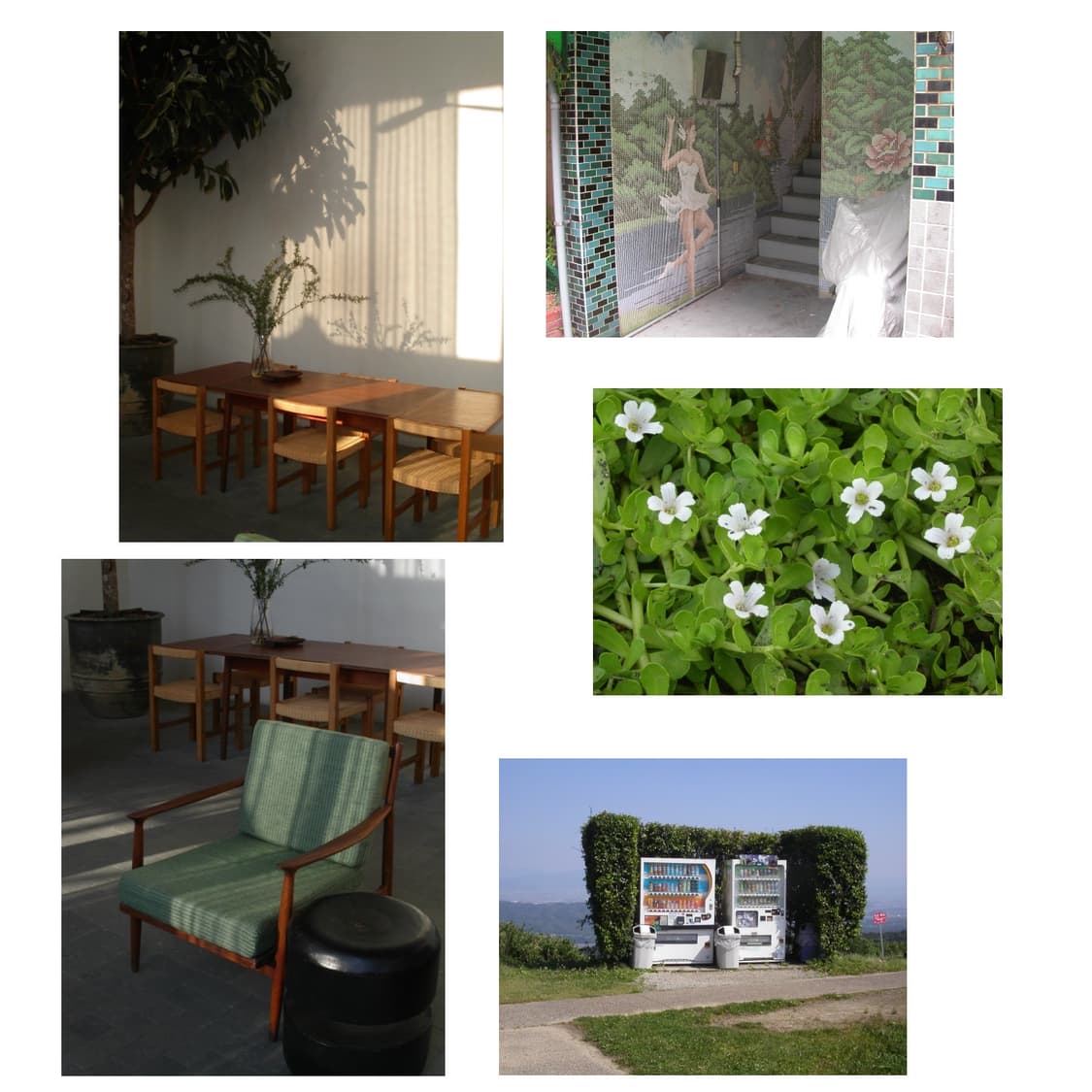 미놀타 dimage f100 박스세트 (작례 0) 상품이미지3