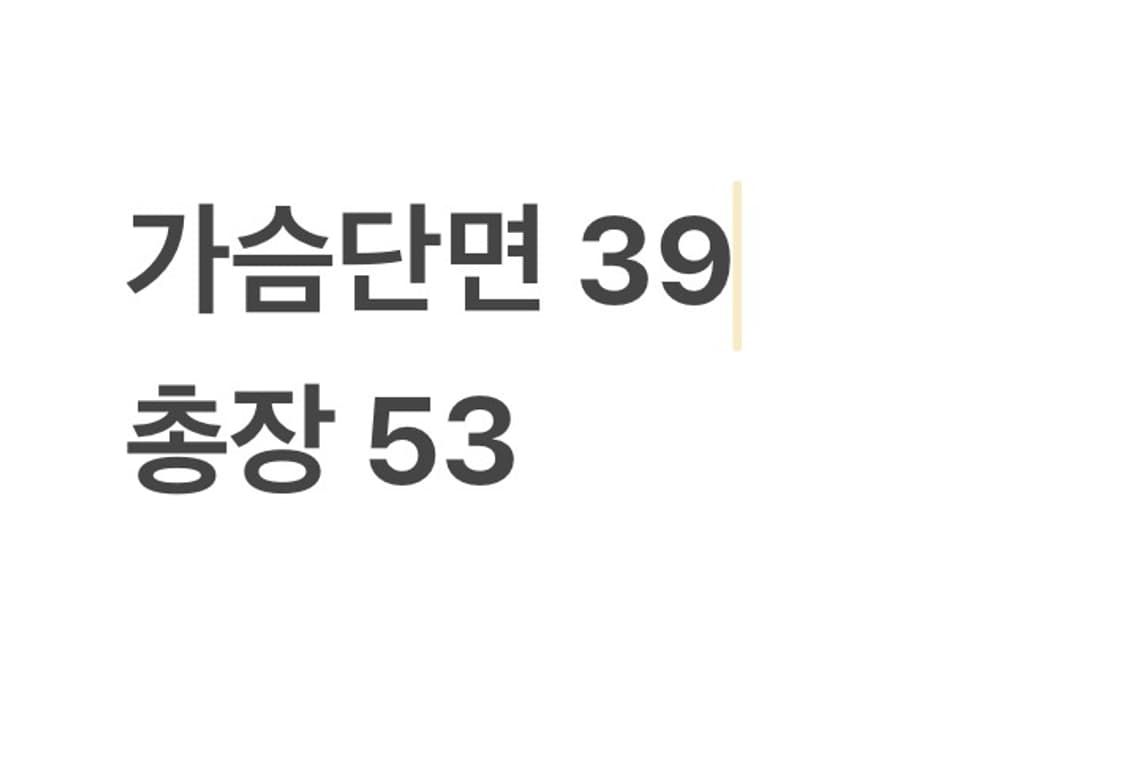 폴로랄프로렌 프린팅 로고 빅포니 레드 카라티 상품이미지5