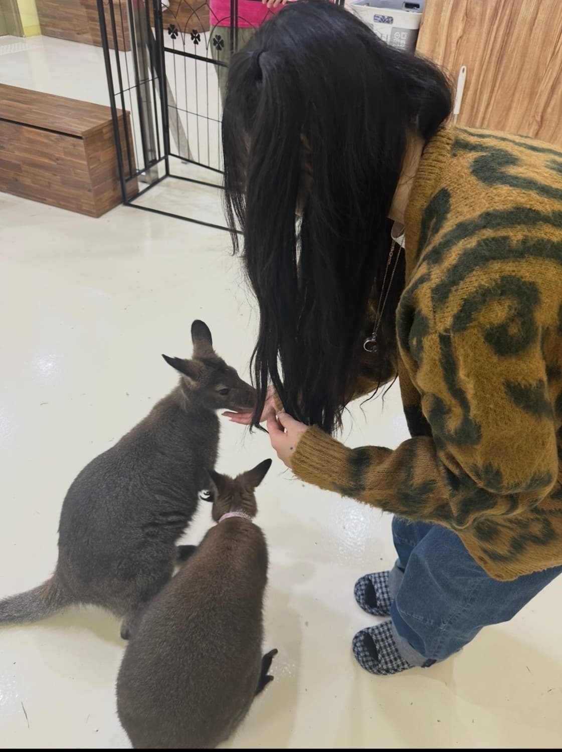 Obey 가디건 상품이미지2