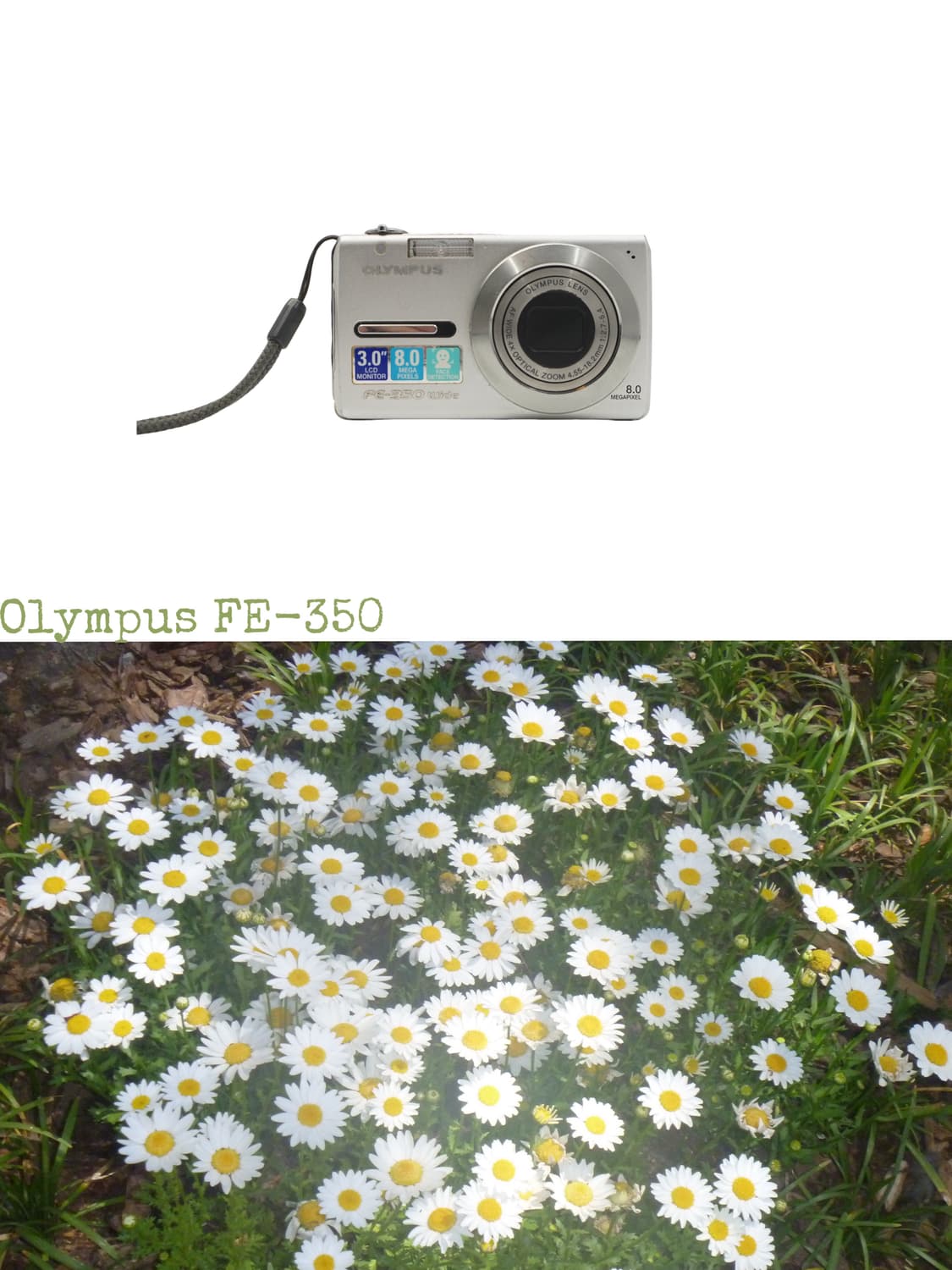 Olympus FE-350 상품이미지1
