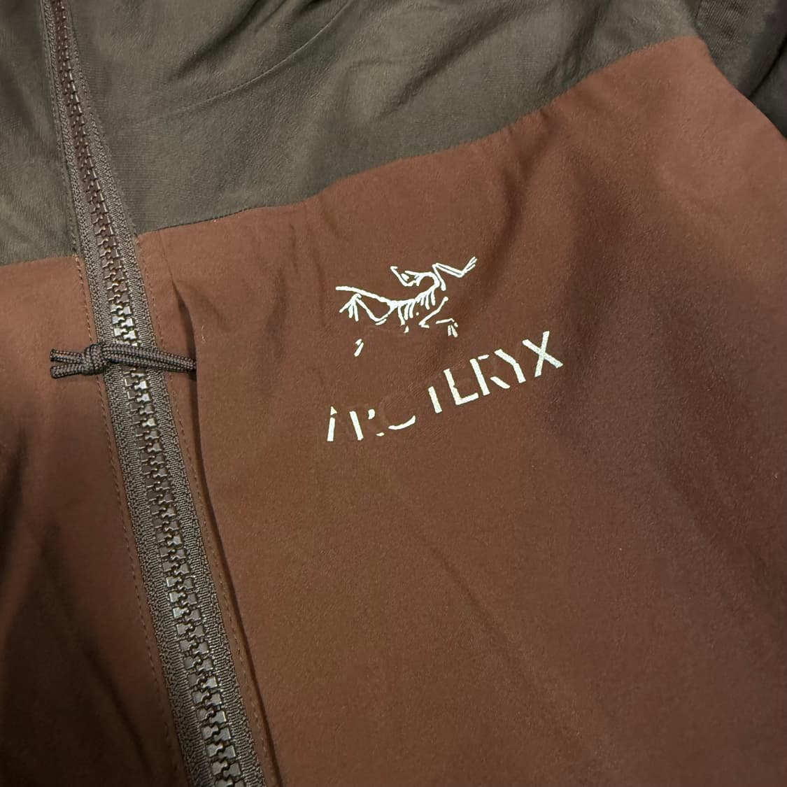 아크테릭스 카파후디 자켓 상품이미지8