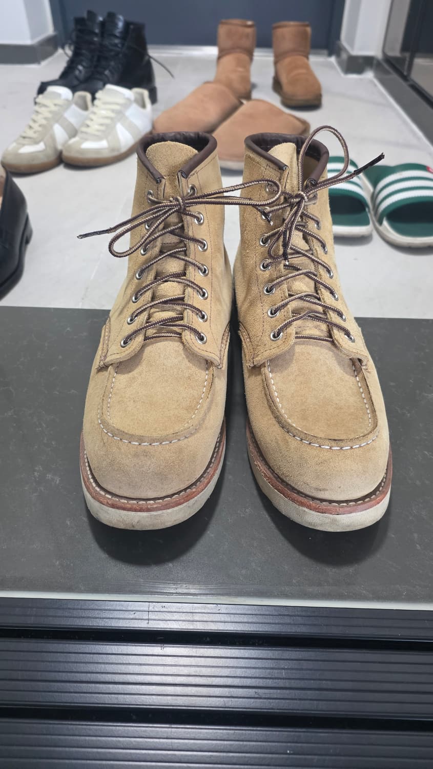 9D 사이즈 레드윙 8833 판매합니다
 상품이미지1