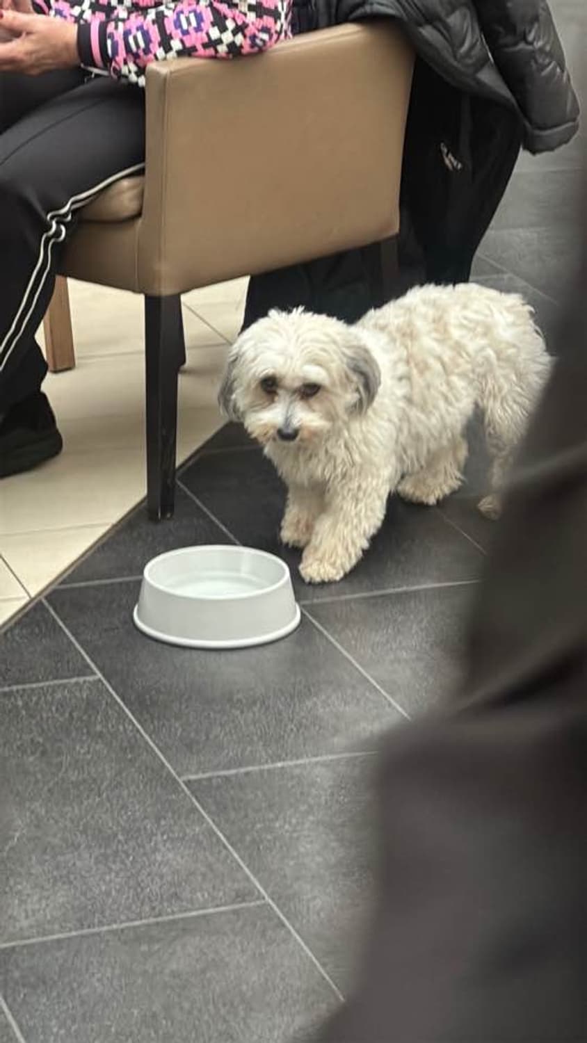 결제창  상품이미지1