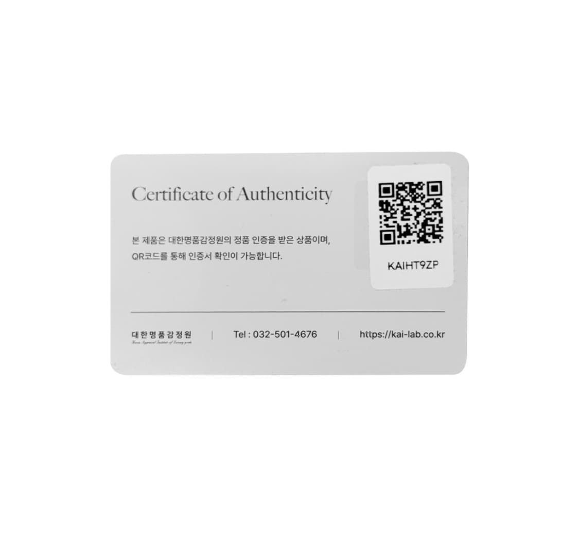 [41] 디올 남성 페드로 에비던스 몽크 버클 더비 로퍼 슈즈 블랙 상품이미지9