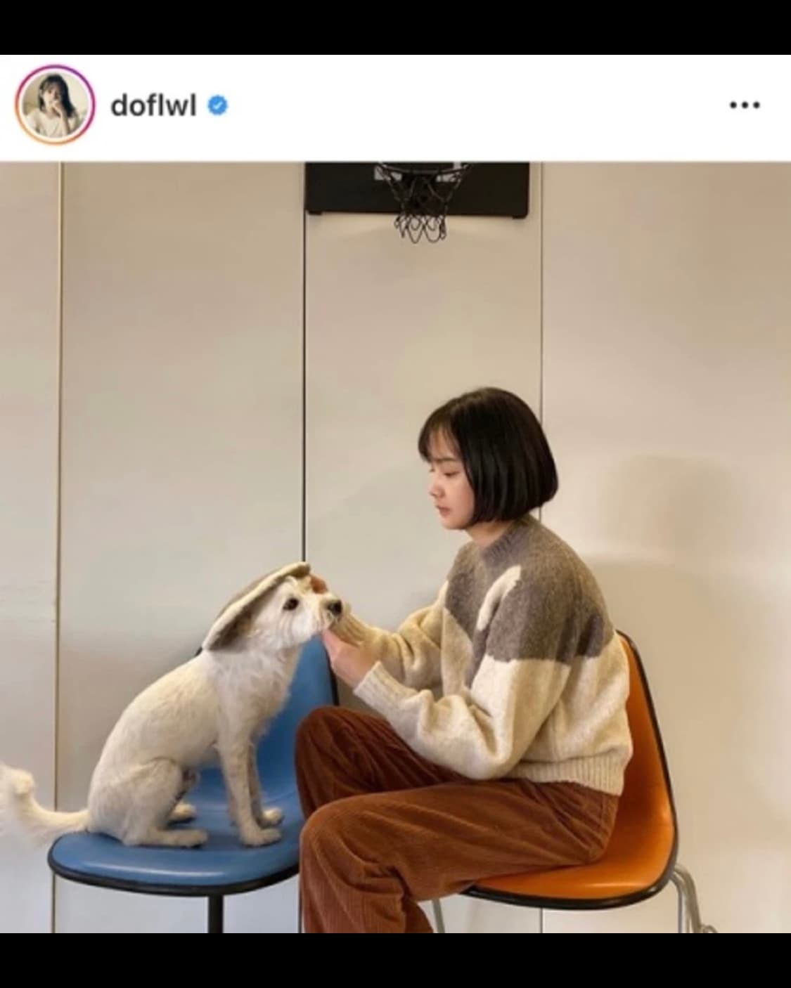 윤승아 착용) 팔로마울 yin yang 스웨터 상품이미지3