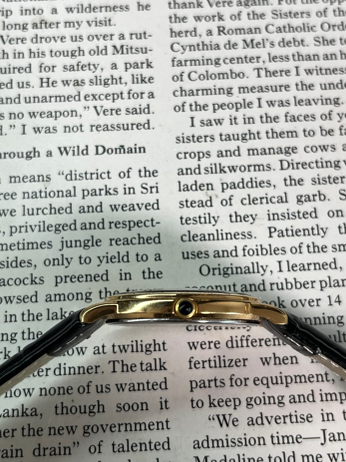 SEIKO 골드 드레스 쿼츠 상품이미지3