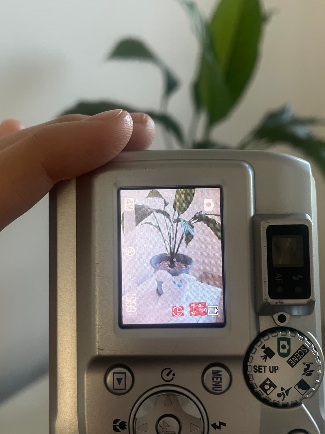 니콘 쿨픽스 4100 실버 (작례O) 상품이미지8