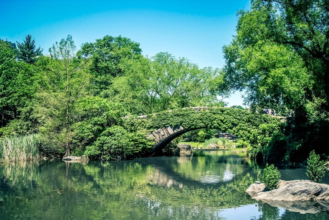작례O 장동건 디카 초소형 삼성 블루 l210 디지털카메라 빈티지 상품이미지2