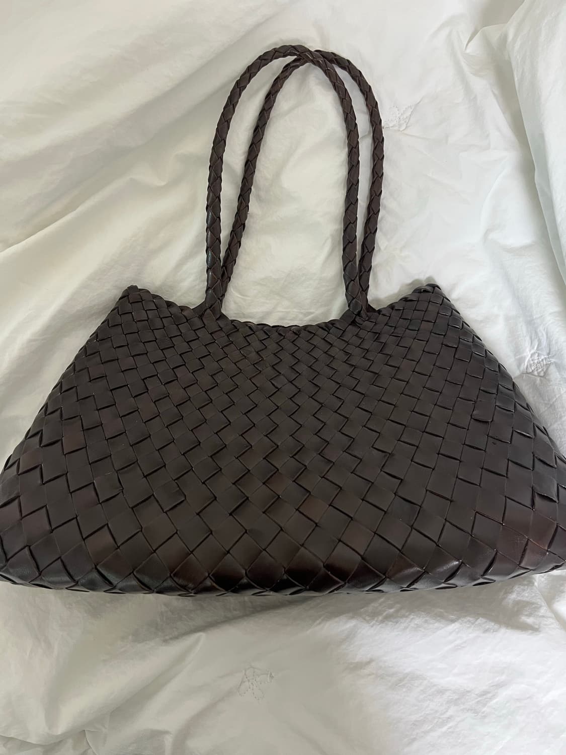 드래곤디퓨전 산타크로체 빅 다크브라운 상품이미지1