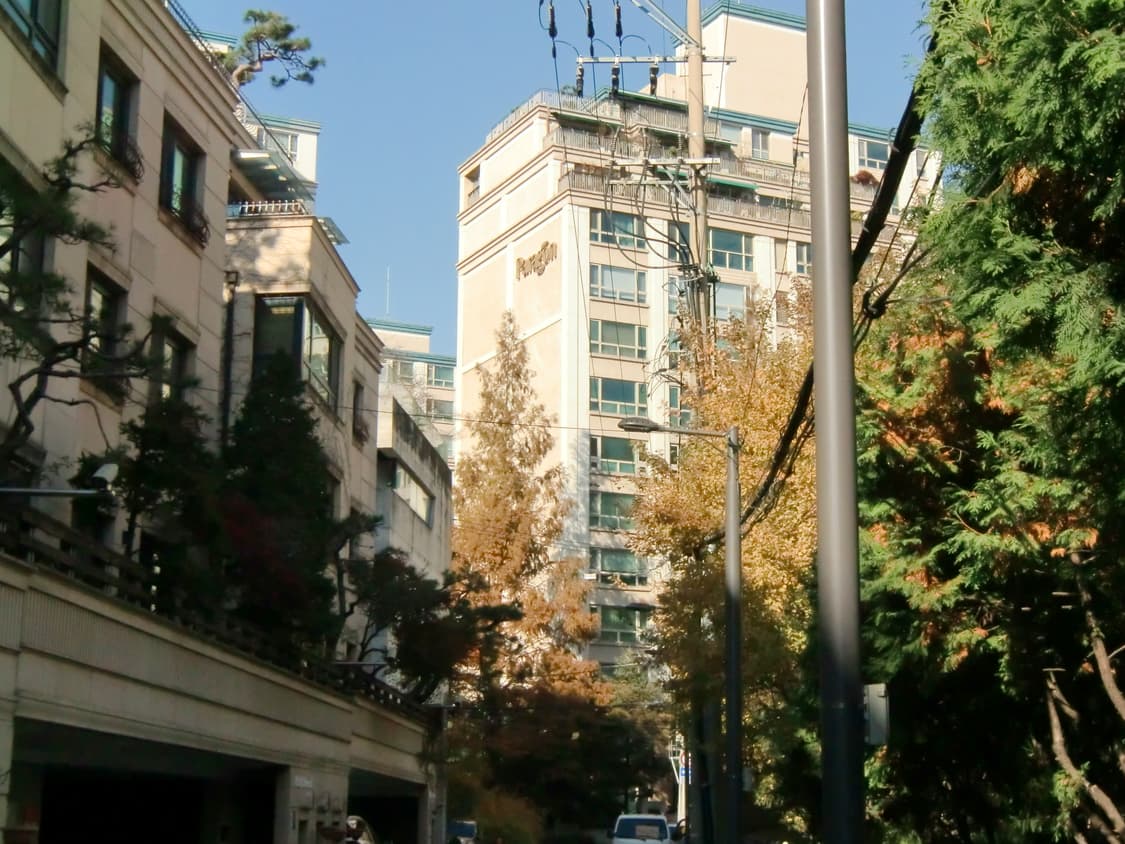 카시오 엑슬림 h10 상품이미지4