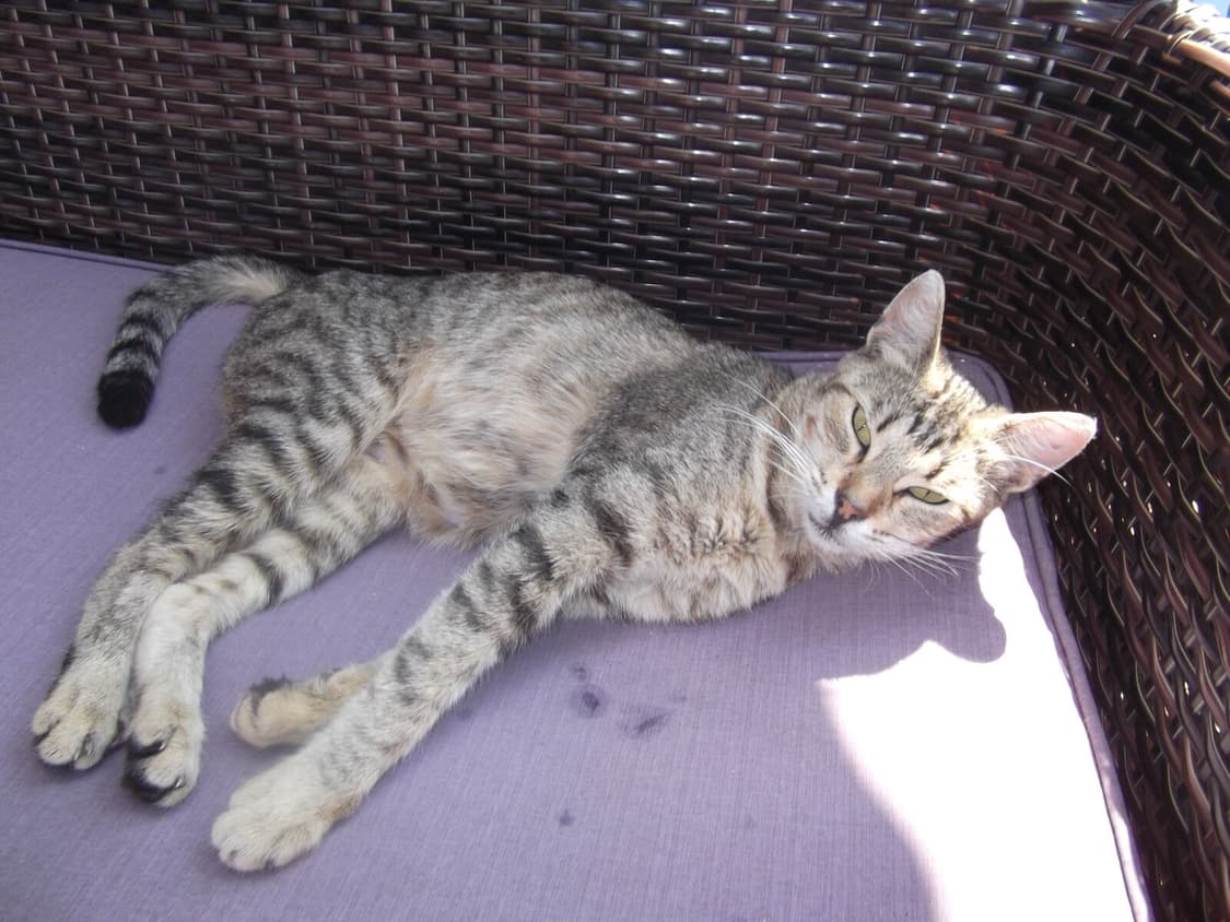 [소프트포커스!] 후지필름 Finepix JX660 매트블랙 디지털카메라 상품이미지8