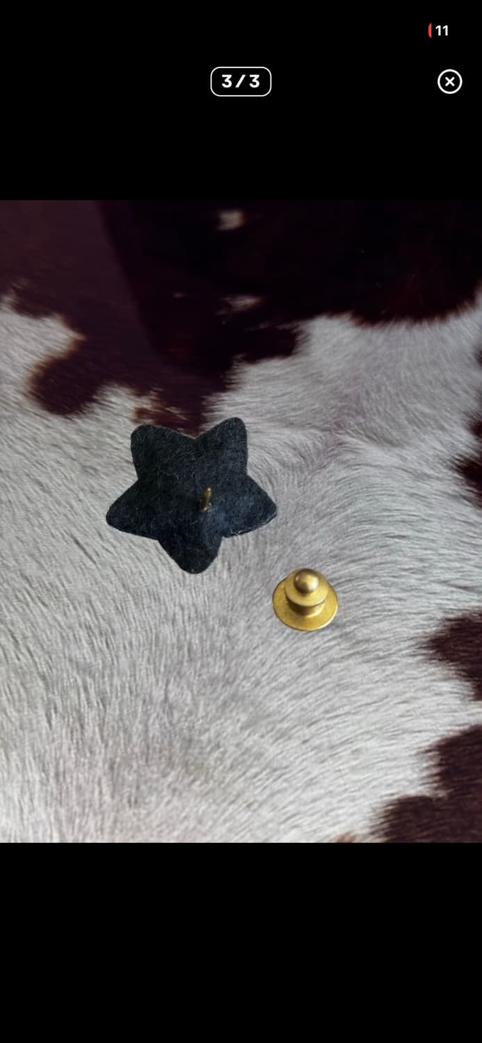 last one/ star pin 상품이미지3