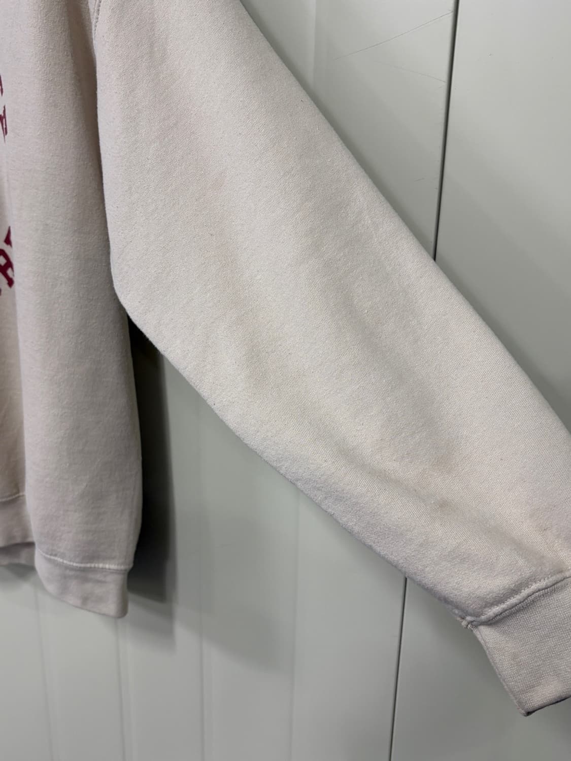 와일드 동키 스웻셔츠 상품이미지3