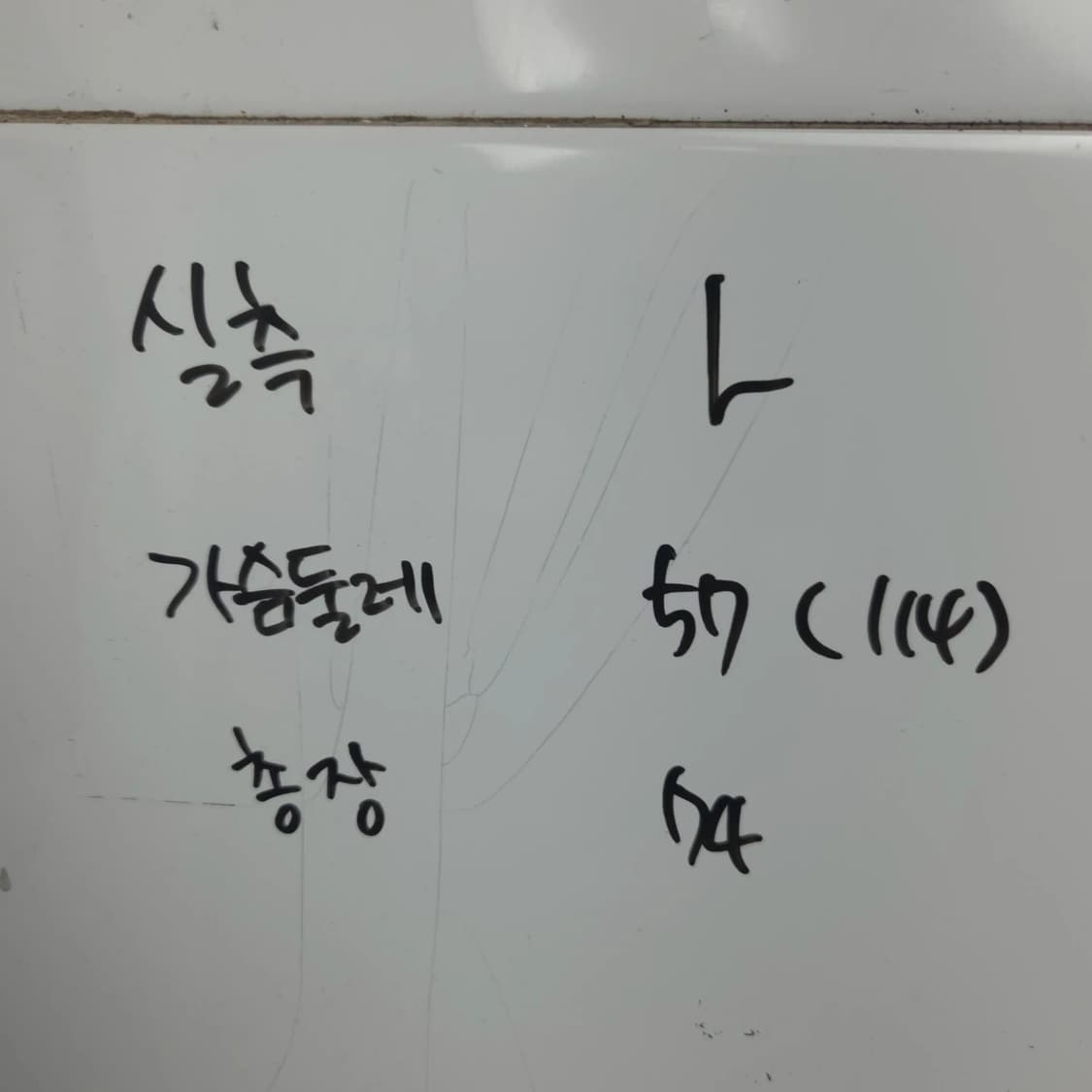 남L 스투시 리암맥래 콜라보 분재 딥루트 반팔 티셔츠 상품이미지7