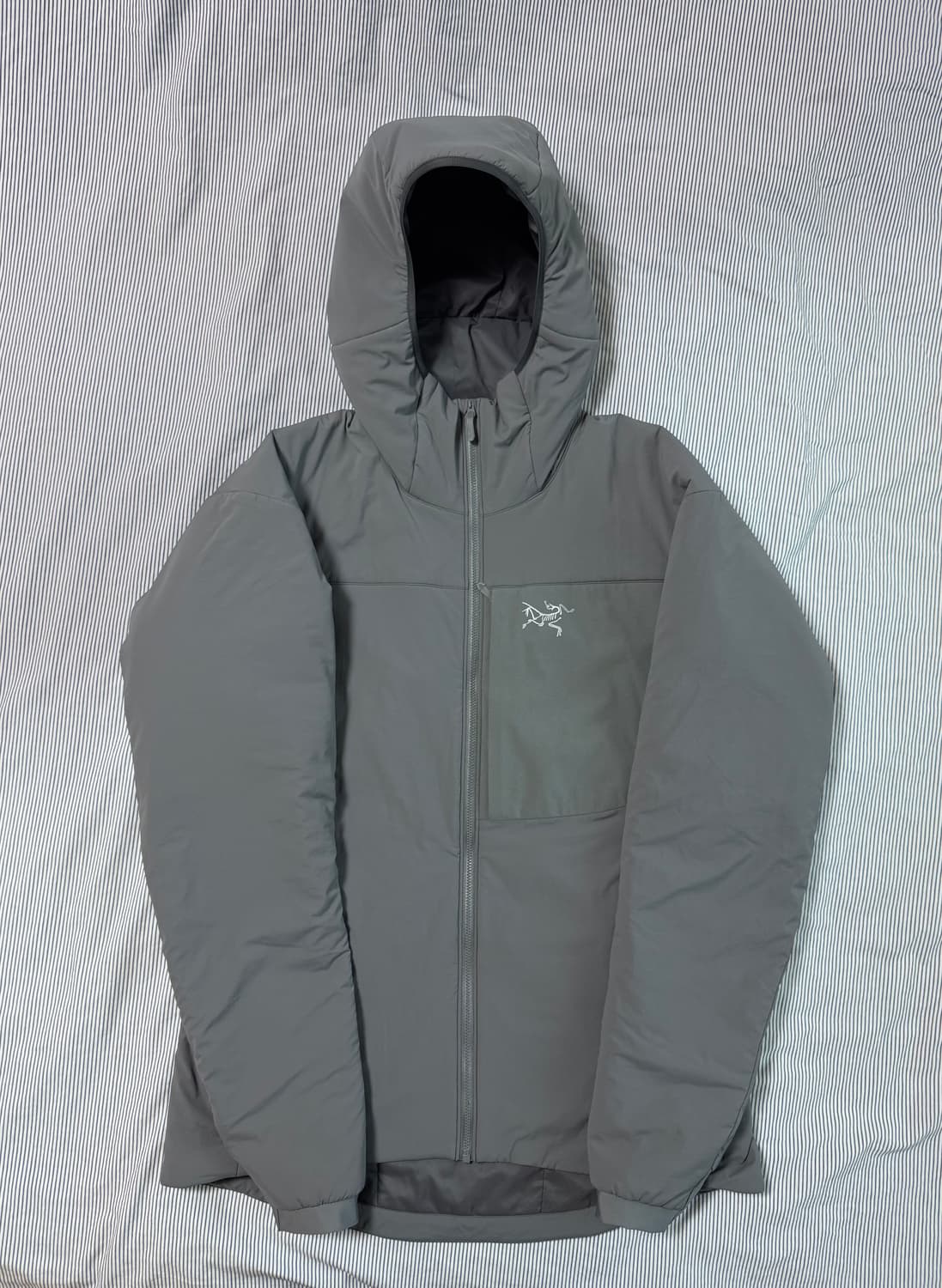 (S급) 아크테릭스 프로톤 LT 후디 마이크로칩  상품이미지3