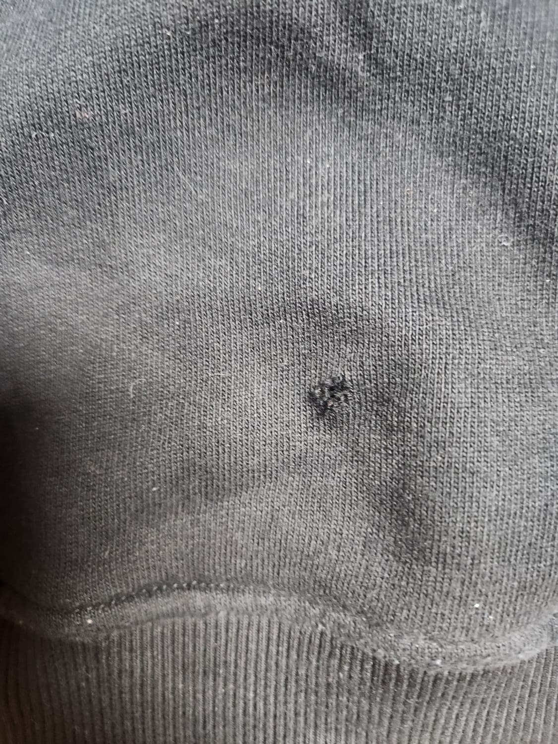 1017 알릭스 후드 상품이미지6