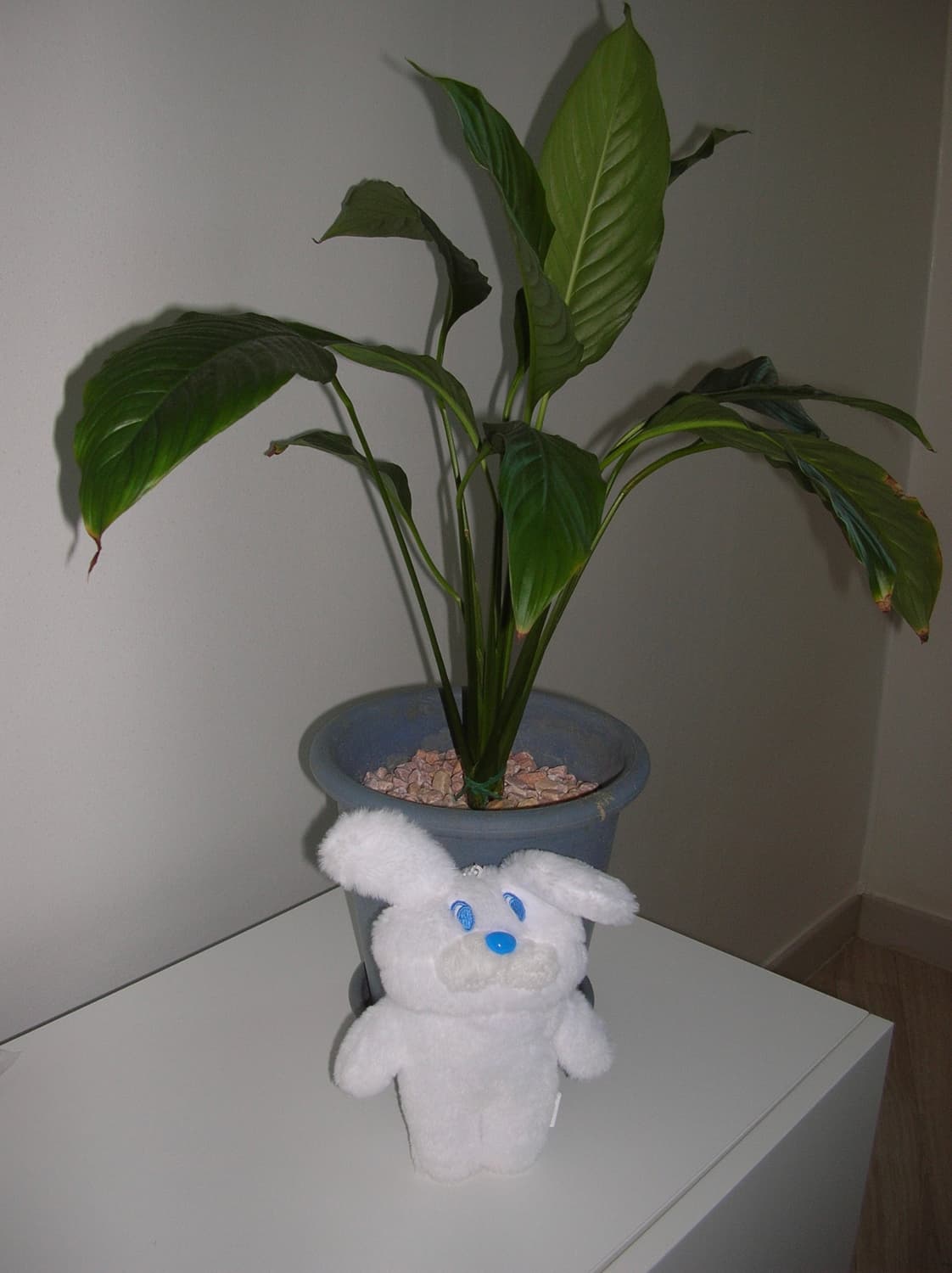 니콘 쿨픽스 4100 실버 (작례O) 상품이미지9