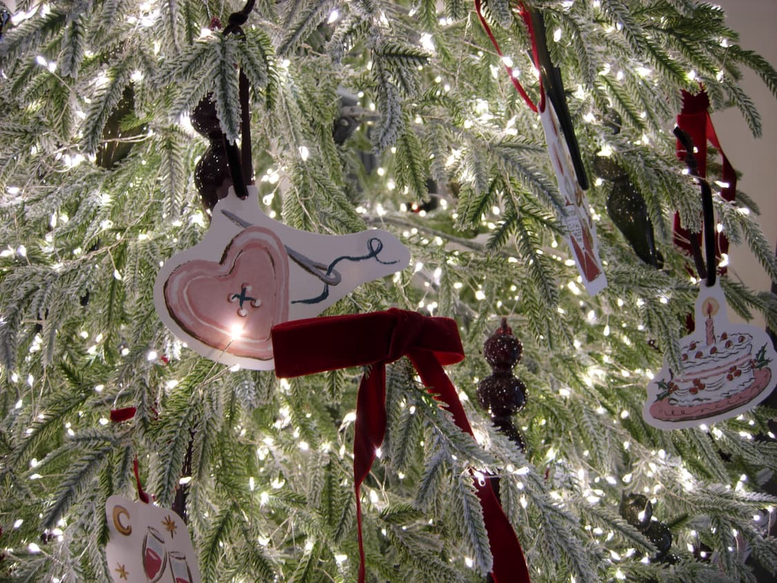 니콘 쿨픽스 p4 (p3) 누가영 조이 디카 nikon coolpix 상품이미지5