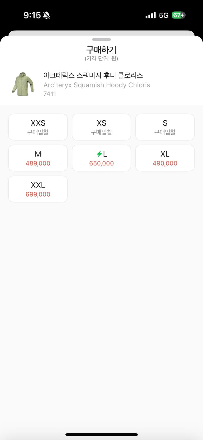 아크테릭스 스쿼미시 클로리스 L 상품이미지2