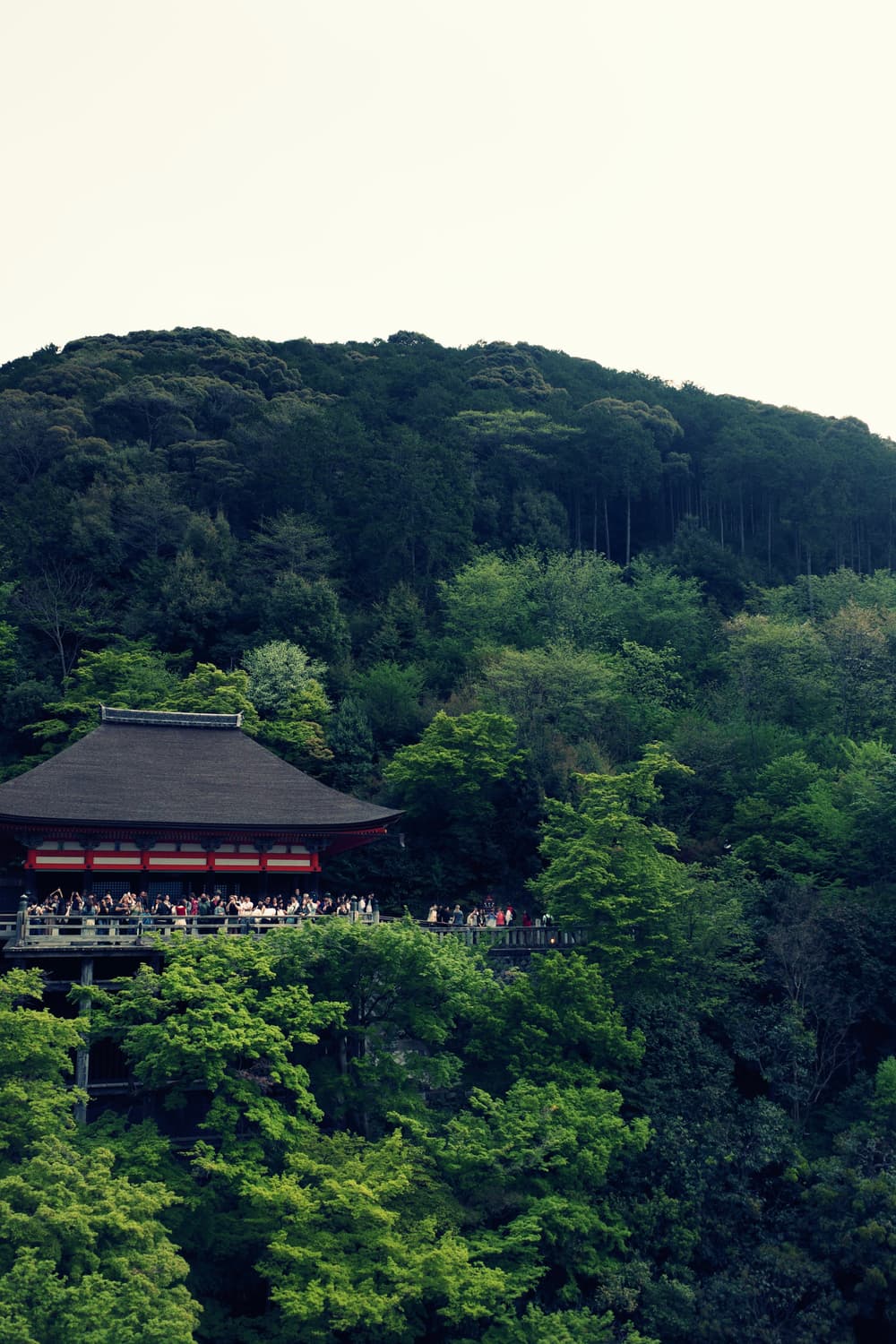 소프트포커스&초희귀!) Olympus VG-120 디카 카메라 상품이미지6