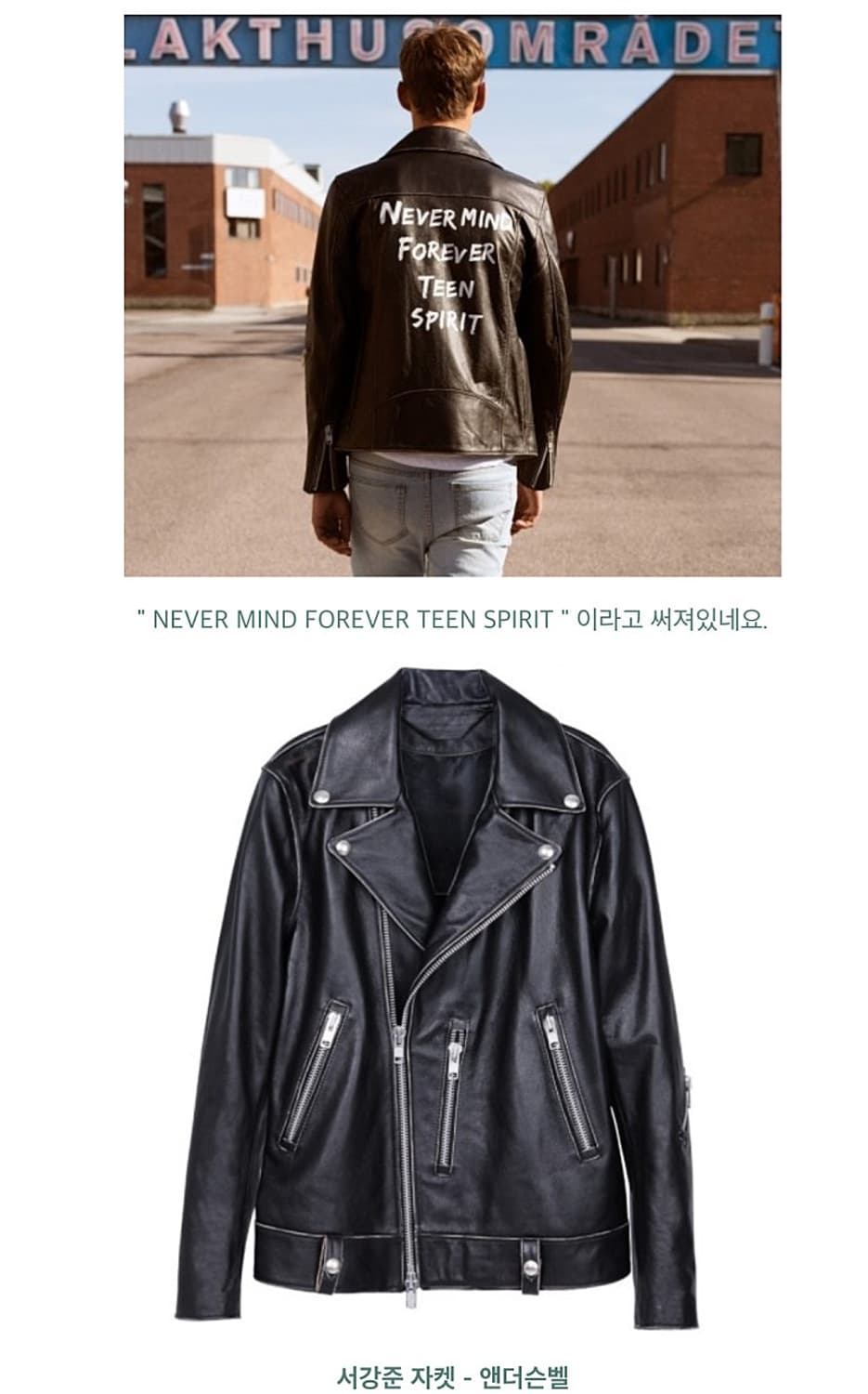 95) 앤더슨벨 소가죽 라이더자켓  상품이미지8