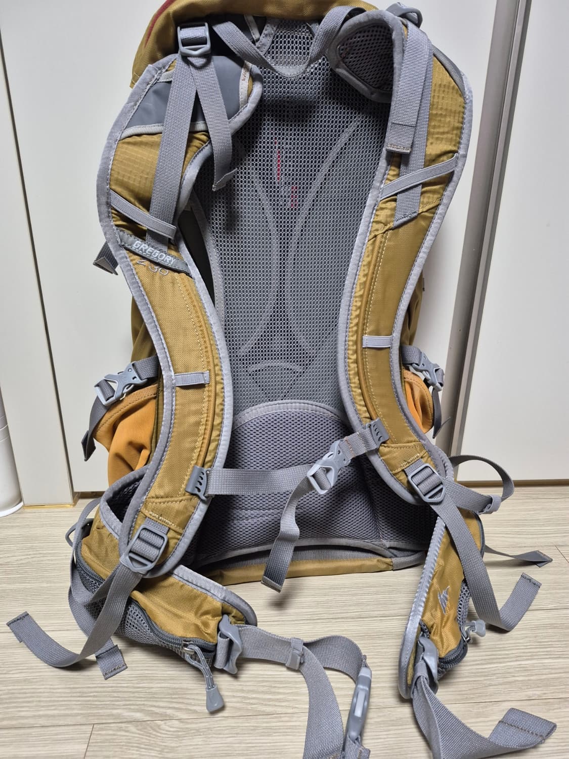 그레고리 정품 30리터 등산 배낭 판매합니다 상품이미지3