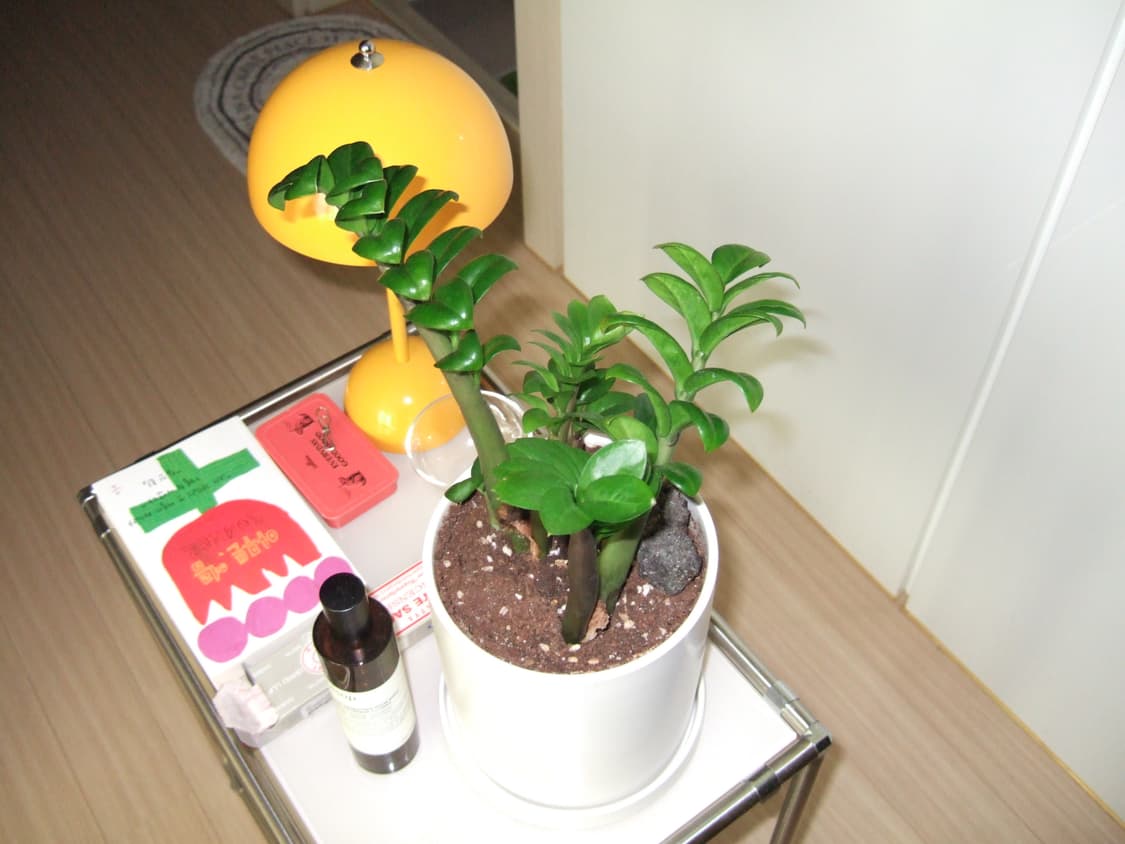 청량,필카느낌) Fujifilm FinePix F10 후지 파인픽스 디카 상품이미지10