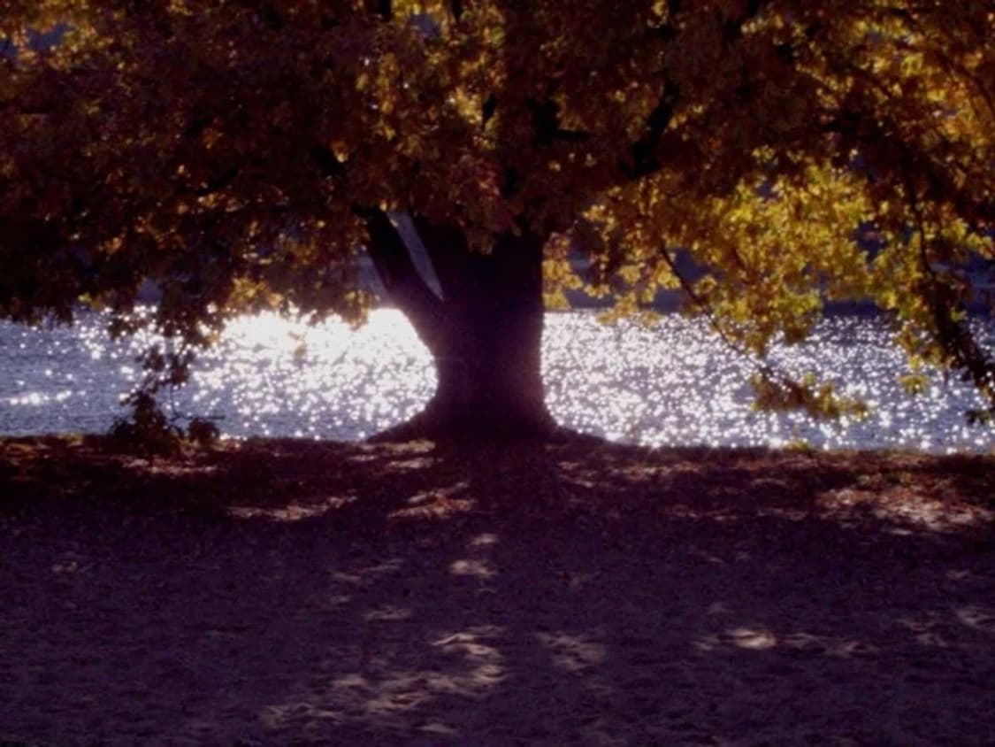 KODAK 코닥 DC120 ZOOM (작례O) 상품이미지7