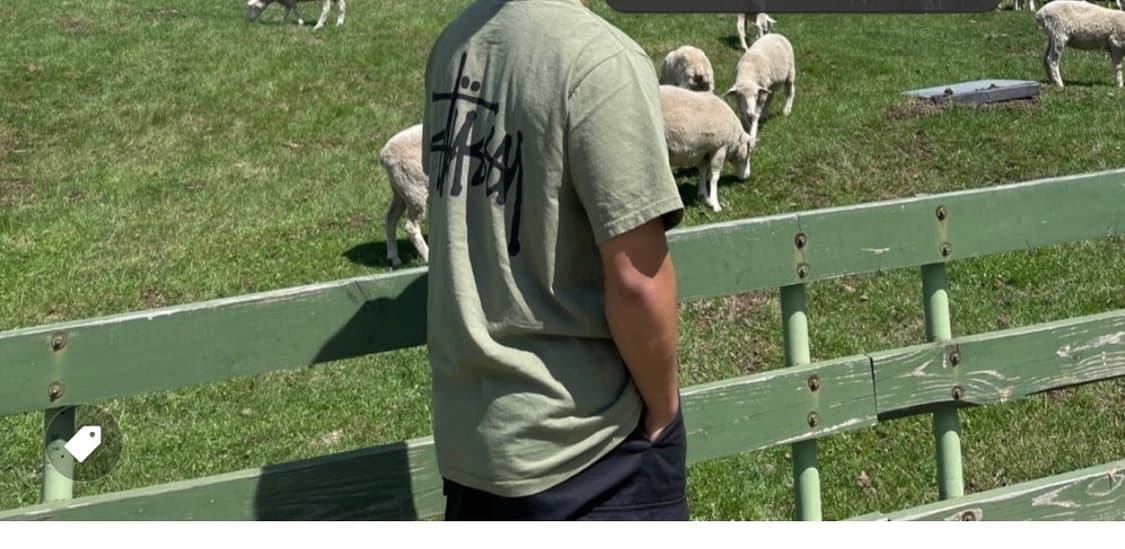 스투시 베이직 피그먼트 반팔L 상품이미지4