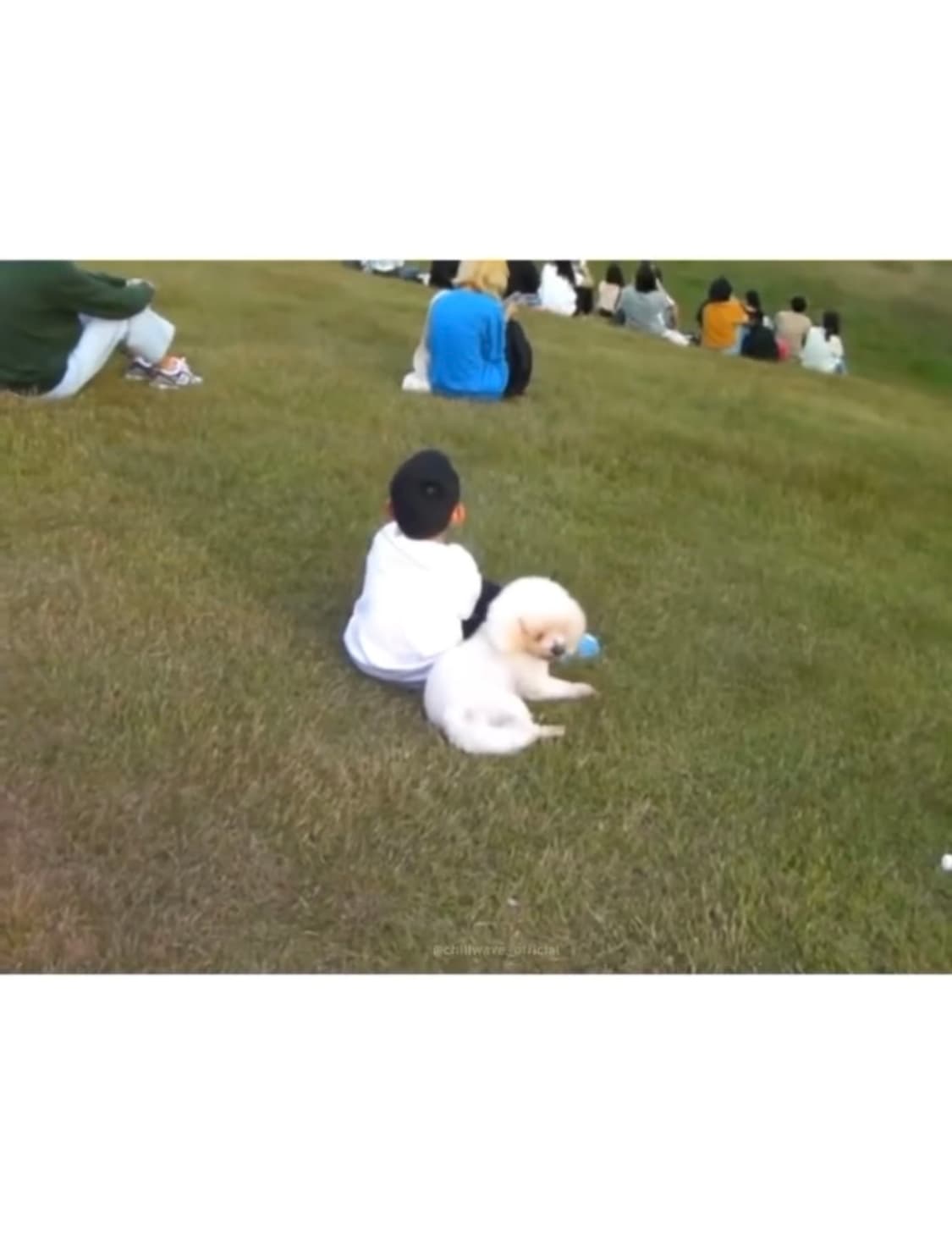 한글지원)산요 작티CG9 화이트 상품이미지4