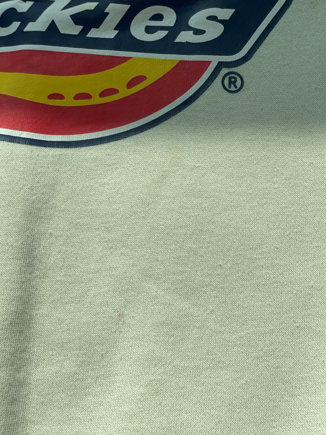 Dickies 디키즈 로고 맨투맨 (아이보리 / S) 상품이미지2