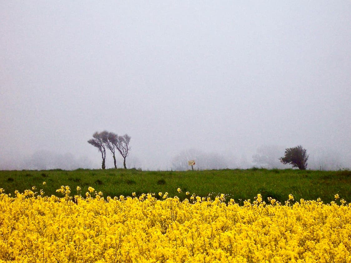 Ricoh Caplio RR750 (리코 카플리오 RR750) 상품이미지10