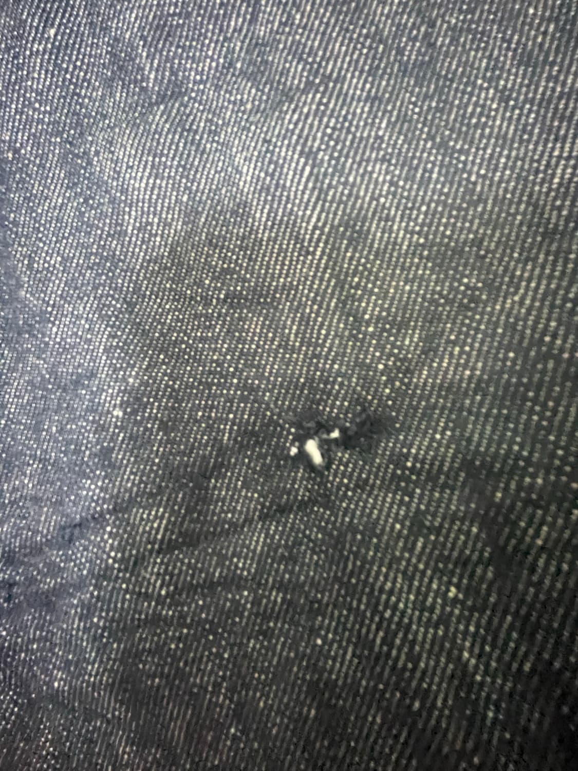 코레일즈 카펜터 로우 데님 팬츠 상품이미지2