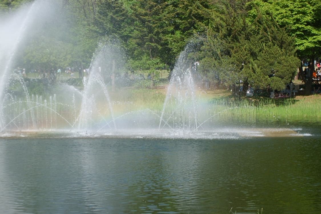 Canon power shot g6 빈티지 카메라 필름 느낌 풀세트 작례 상품이미지8