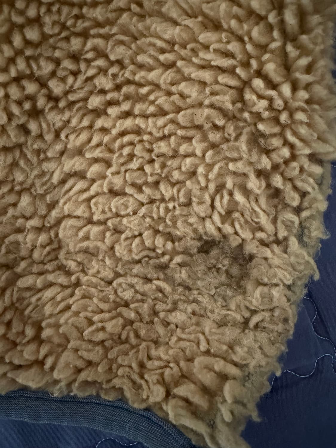 [S] 파타고니아 딥파일 데킬라 골드 후리스 상품이미지7