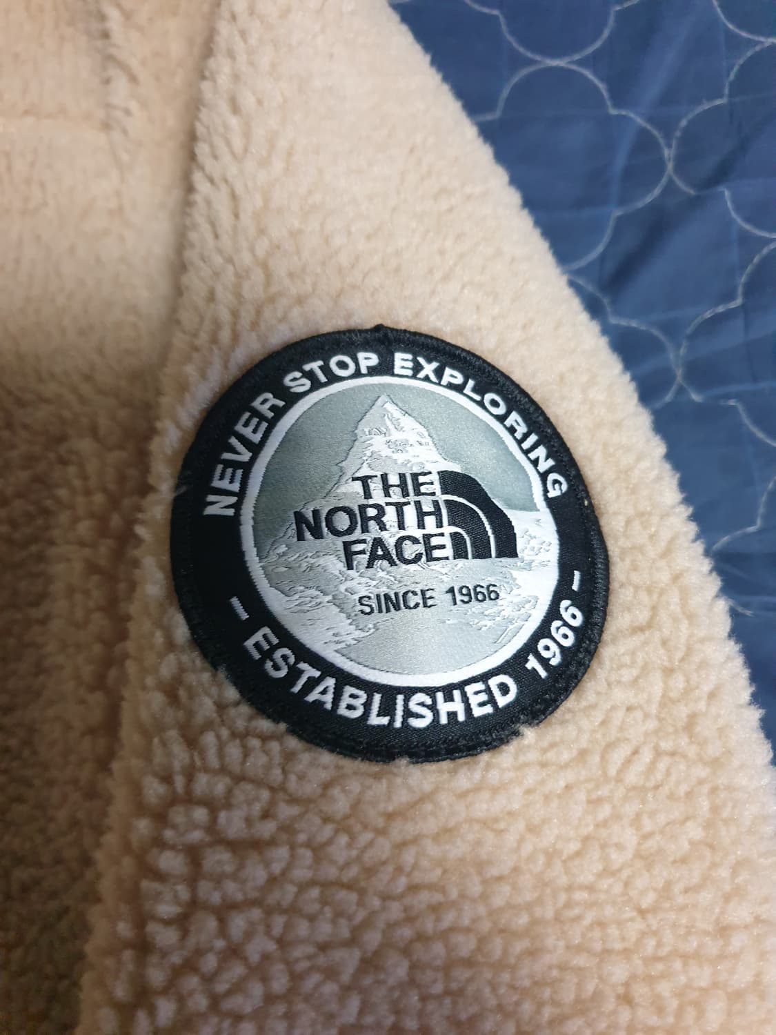 (해외) 노스페이스 ECO 컬렉션 플리스 뽀글이 집업 자켓 (M) 상품이미지3