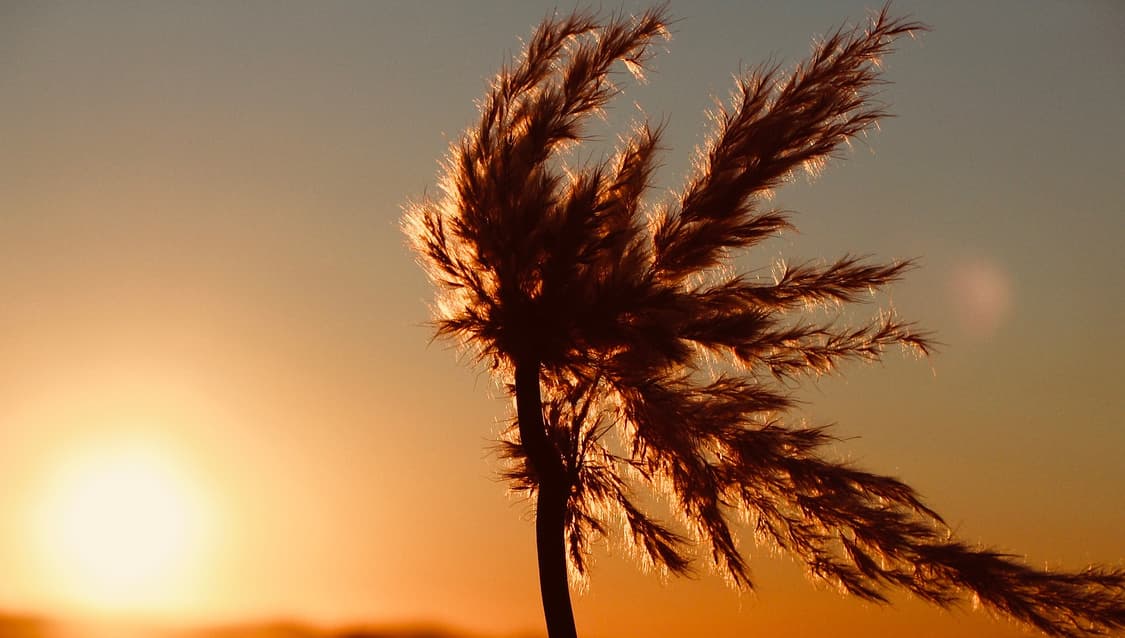 작례O 하이엔드 정점 파워샷 g5 풀박스 신품급 디지털카메라 빈티지 디카 상품이미지4