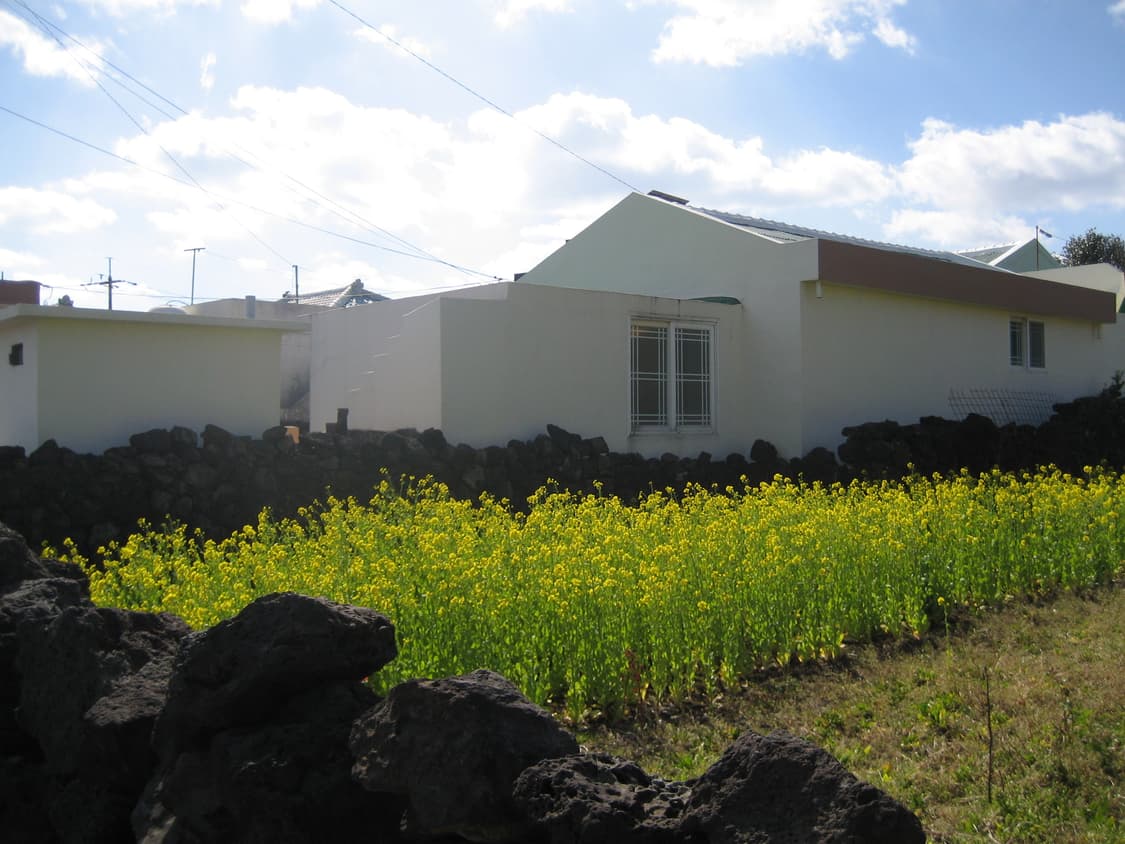 캐논 익서스 65 상품이미지8