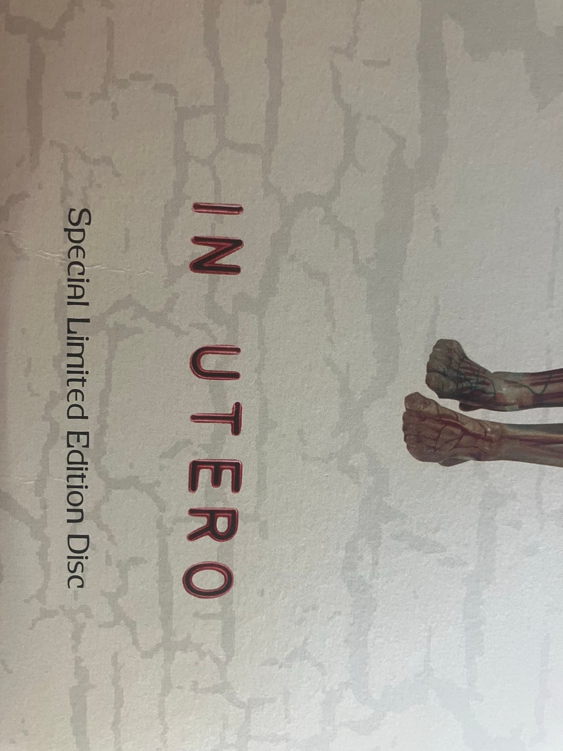 Nirvana In utero LP 1993 오리지널 프레싱 상품이미지2