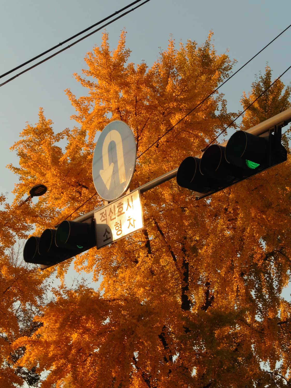 파나소닉 루믹스 DMC-TZ56 상품이미지5