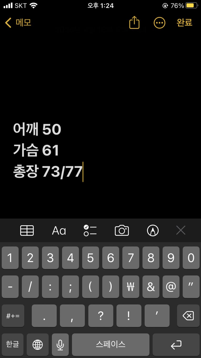 폴로 랄프로렌 체크 반팔셔츠 상품이미지6